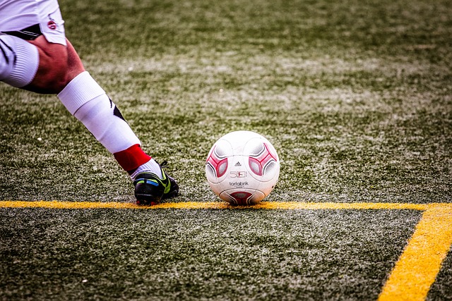 的领军风范 的领军风范