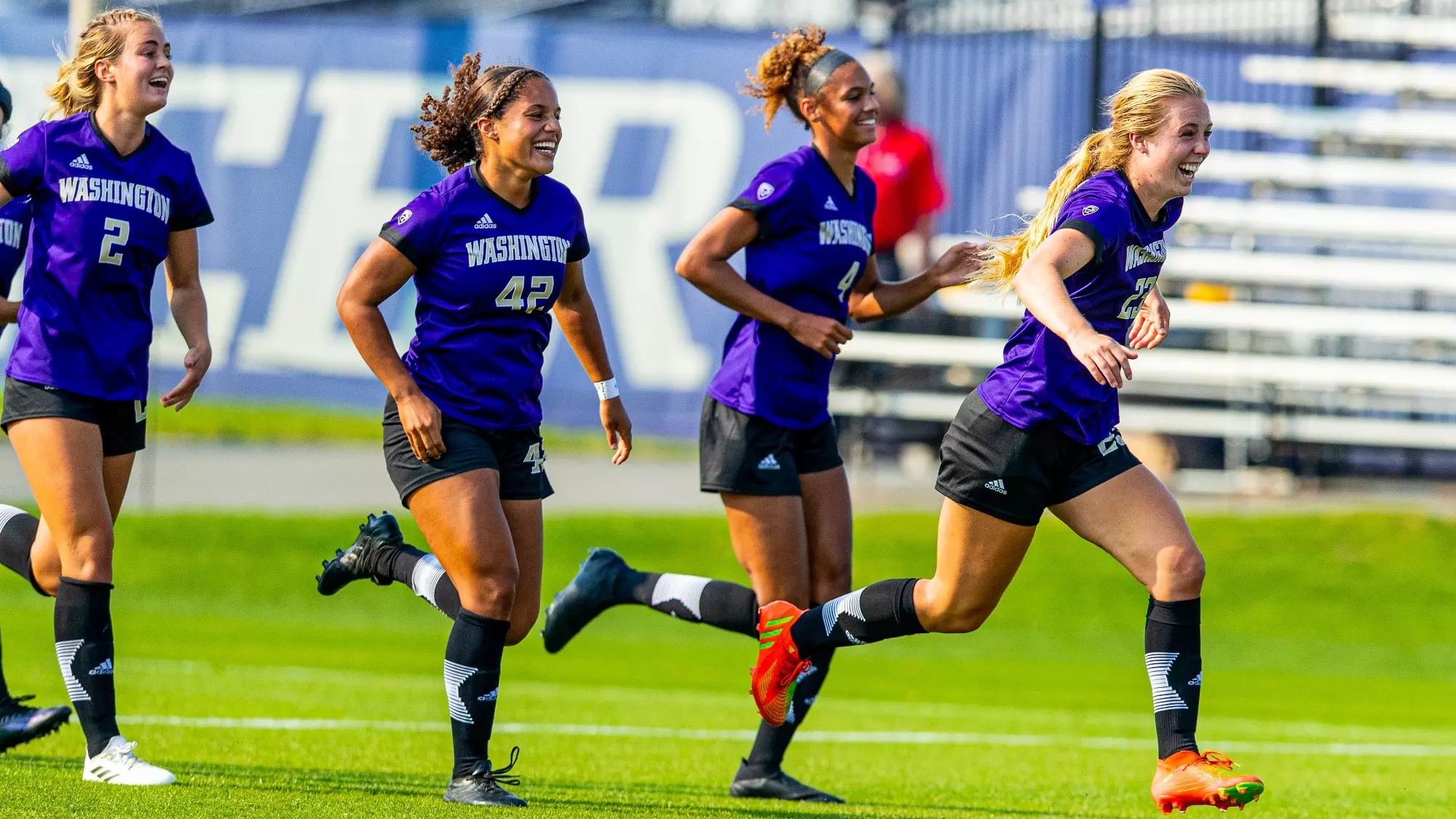 这是我见过 这是我见过