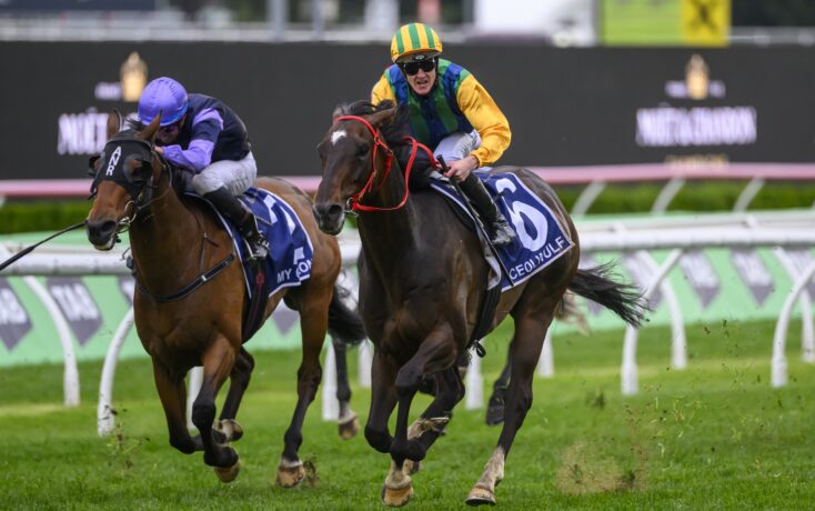 结果却出现 结果却出现